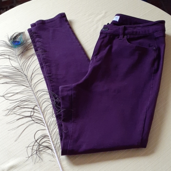 Lane Bryant Denim - Lane Bryant Jean's